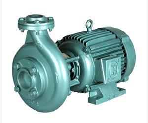 Image of CENTRIFUGAL MONOBLOCK PUMP - 2